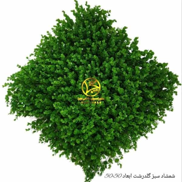 1710397022866.webp